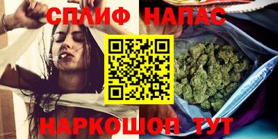 прущие грибы Пыть-Ях