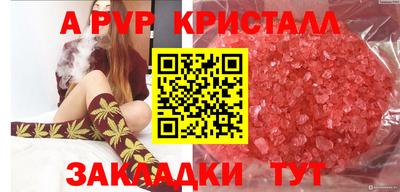 СК Пугачёв