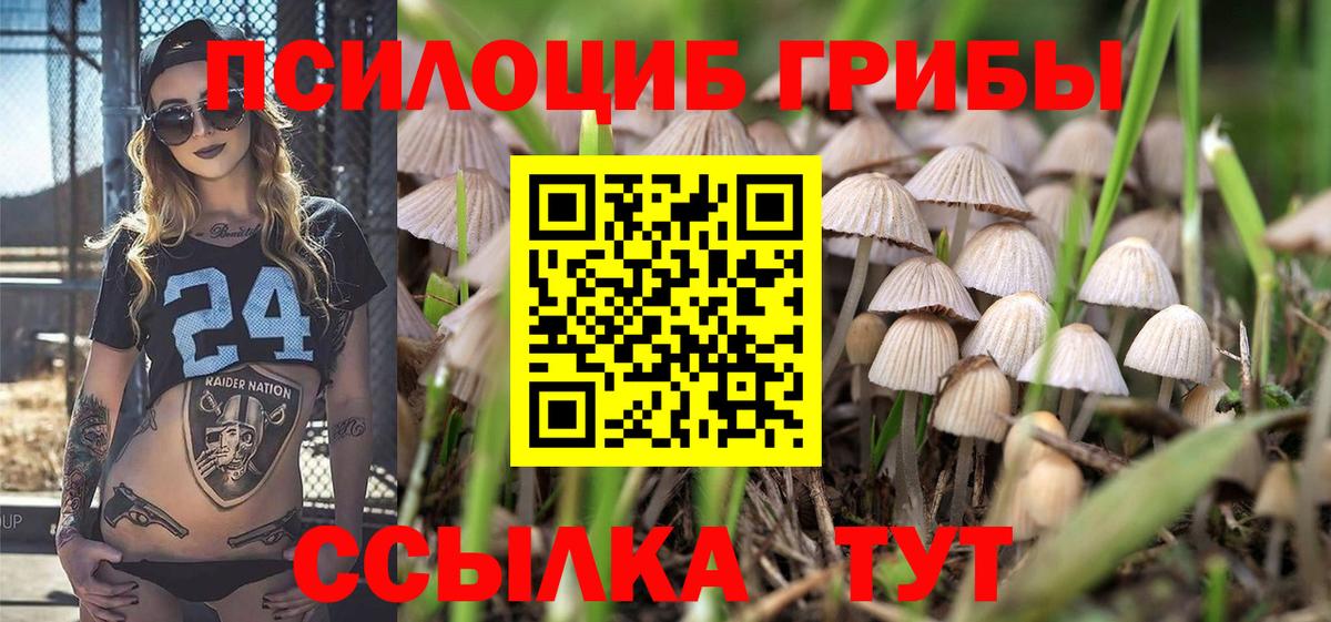 Галлюциногенные грибы Psilocybine cubensis  Вход с VPN  Пенза 